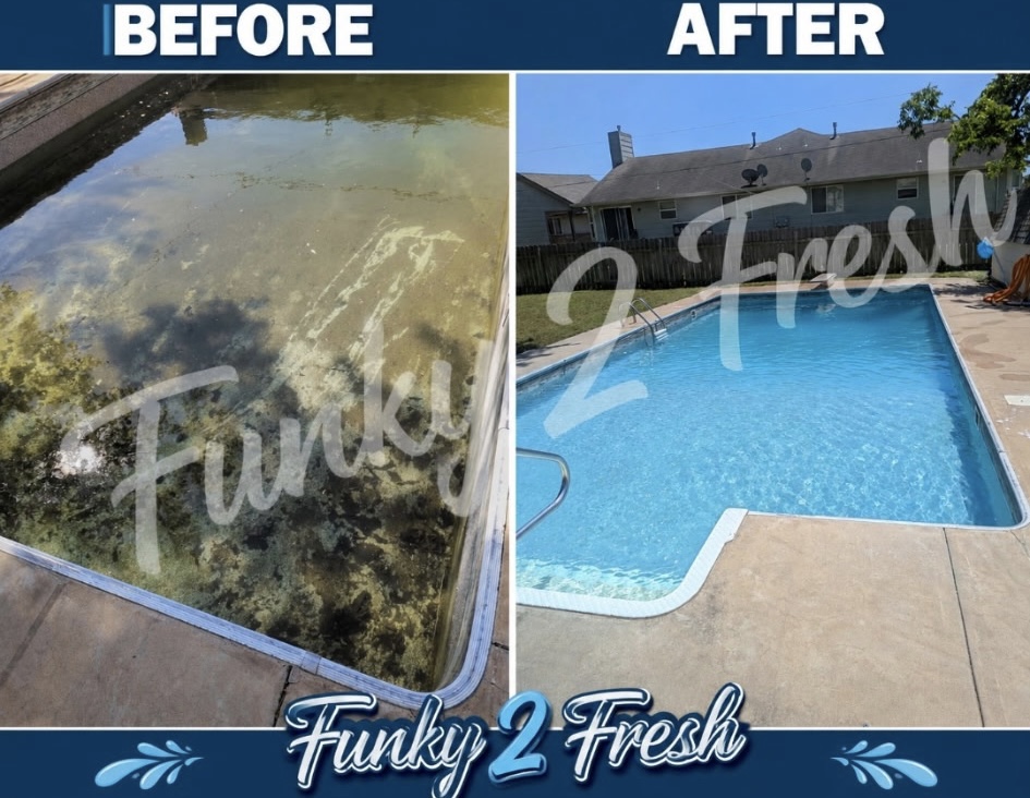 Before and after: green algae-filled pool transformed into a crystal clear backyard pool