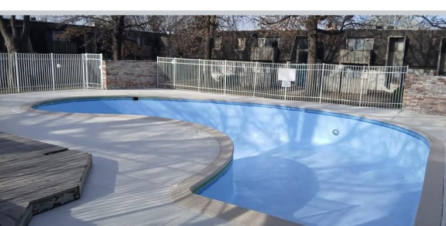Kidney-shaped pool after renovation, with fresh water and new concrete deck